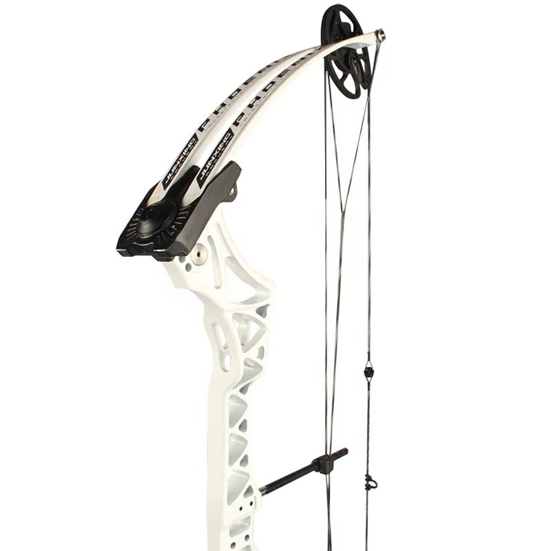 SPG Hunting Compound Bow 55lbs Alloy Adjustable Adult Outdoor Archery Entertainment Arrow Target Shooting Training Device